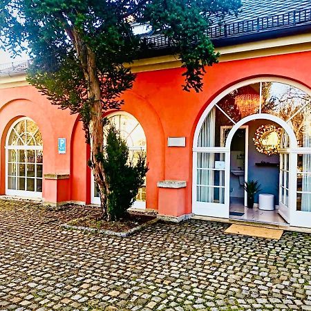 Villa Am Park Apartment Dresden Eksteriør billede