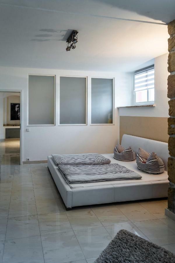 Villa Am Park Apartment Dresden Eksteriør billede